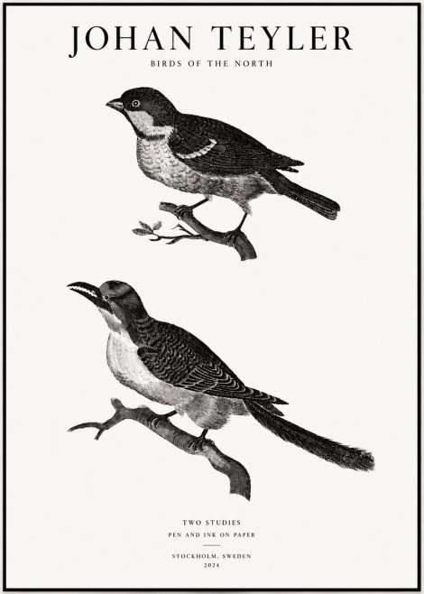 Johan Teyler Two Studies No1 - Plakat