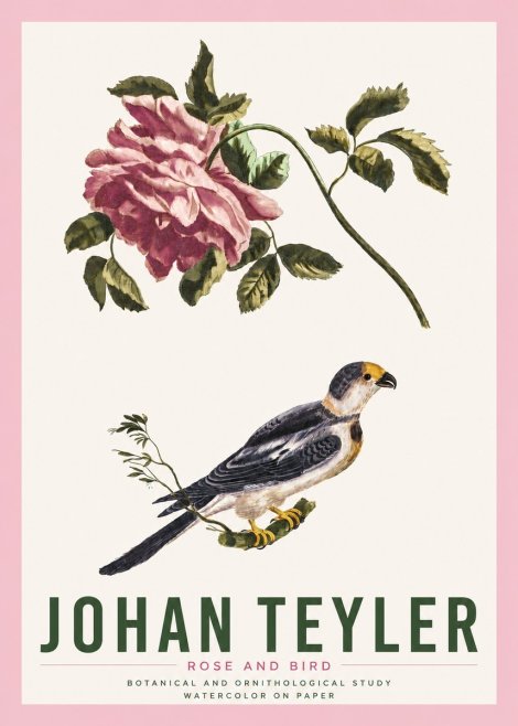 Johan Teyler Rose and Bird I No4 - Plakat
