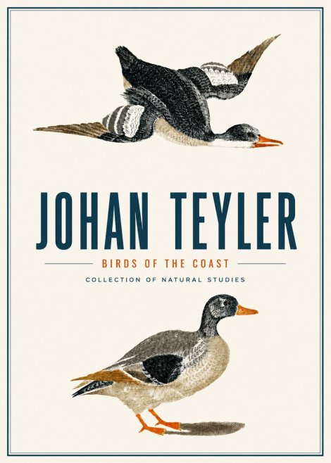 Johan Teyler Birds of the Coast No4 - Plakat