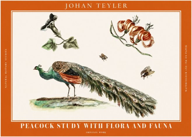 Johan Teyler Peacock Study with Flora and Fauna No2 - Plakat