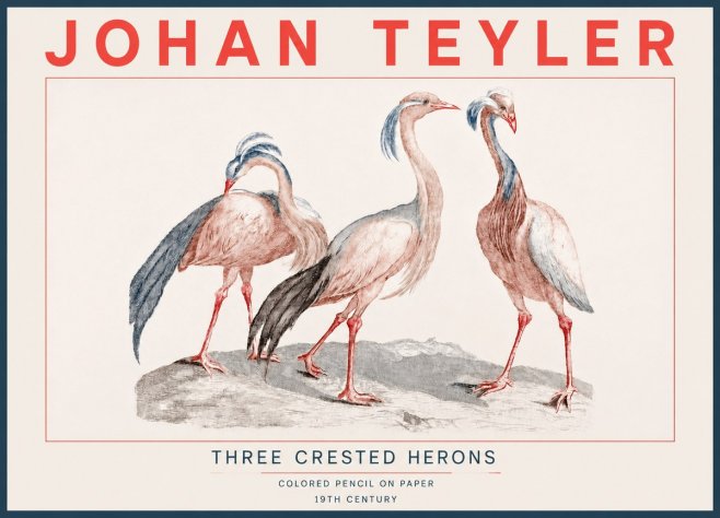 Johan Teyler Three Crested Herons No4 - Plakat