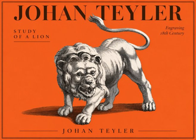 Johan Teyler Study of a Lion No3 - Plakat