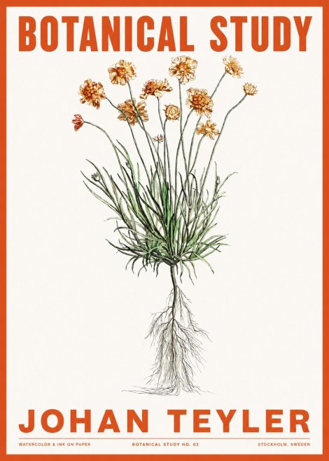 Johan Teyler Botanical Study No. 01 No2 - Plakat