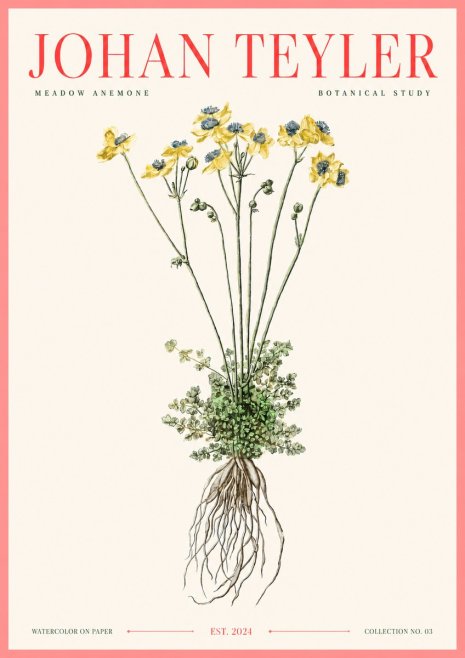 Johan Teyler Meadow Anemone No3 - Plakat