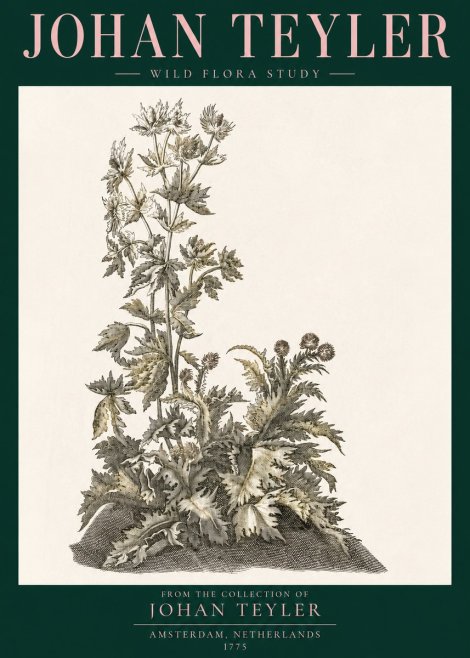 Johan Teyler Wild Flora Study No3 - Plakat