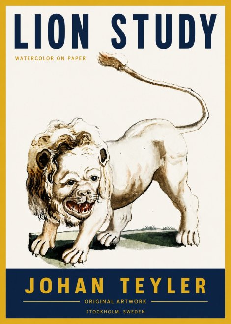 Johan Teyler Lion Study No4 - Plakat