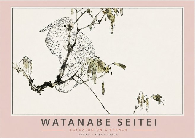 Watanabe Seitei Cockatoo on a Branch No3 - Plakat