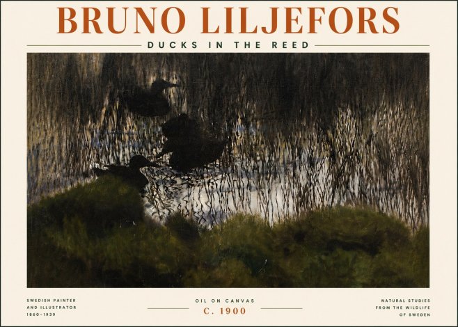 Bruno Liljefors Ducks in the Reed No5 - Plakat