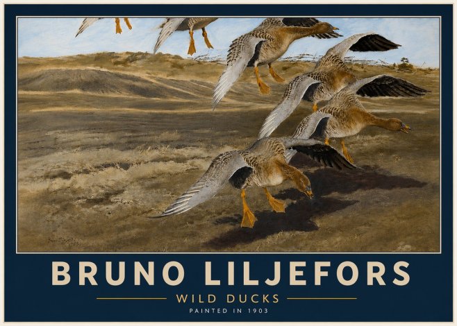 Bruno Liljefors Wild Ducks I No4 - Plakat