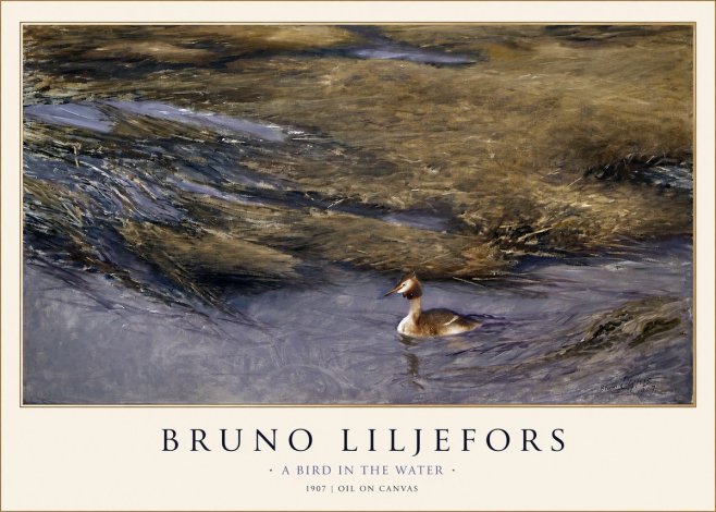 Bruno Liljefors A Bird in the Water No1 - Plakat