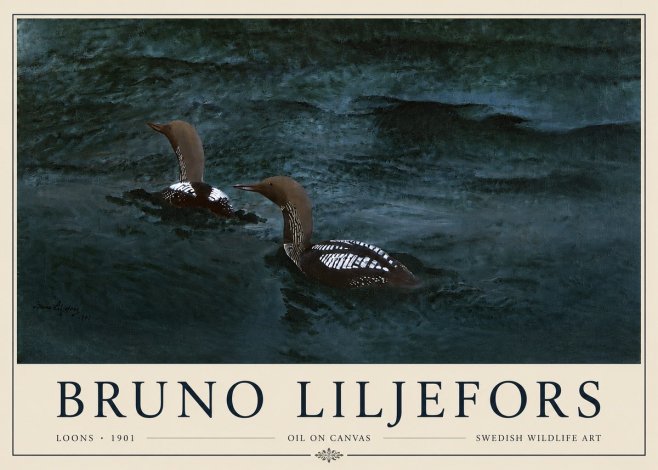 Bruno Liljefors Loons · 1901 No3 - Plakat