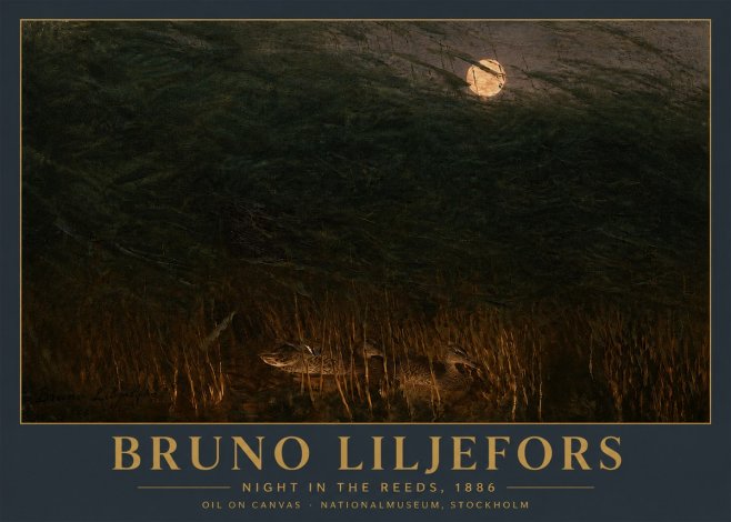 Bruno Liljefors Night in the Reeds No5 - Plakat