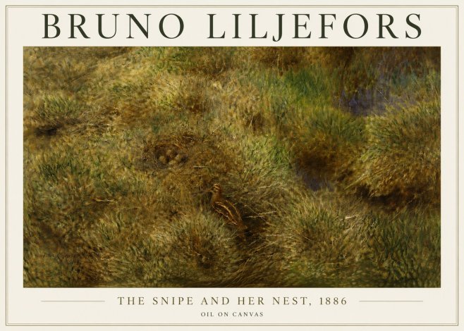 Bruno Liljefors The Snipe and Her Nest No5 - Plakat