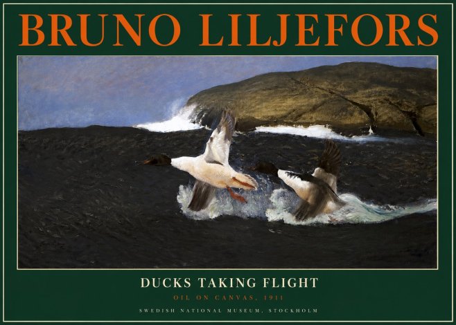 Bruno Liljefors Ducks Taking Flight No2 - Plakat