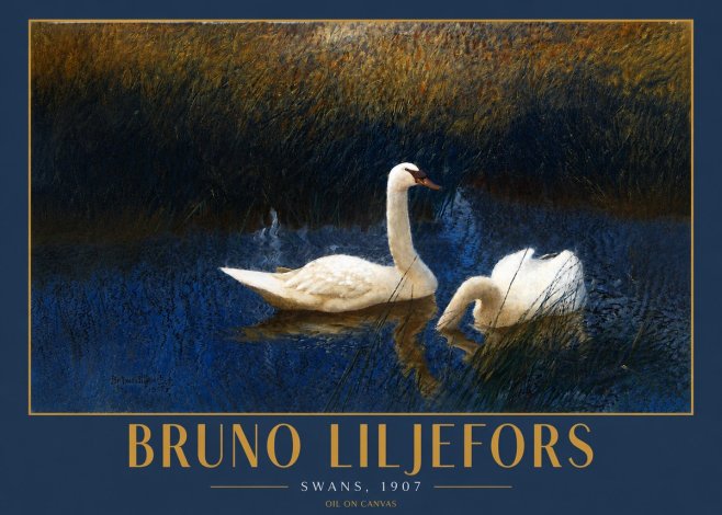 Bruno Liljefors Swans, 1907 No4 - Plakat