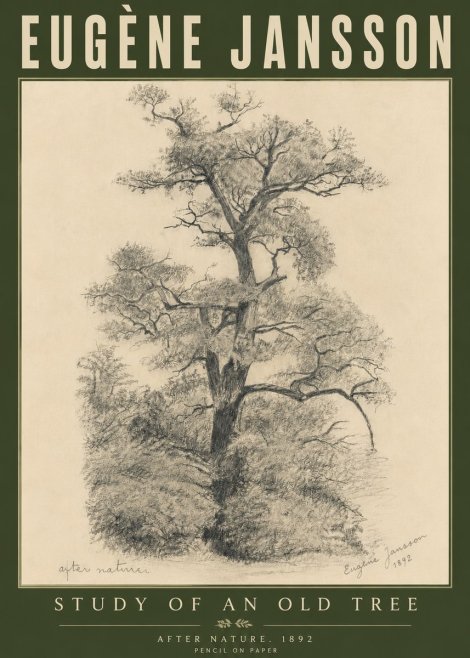 Eugène Jansson Study of an Old Tree No6 - Plakat