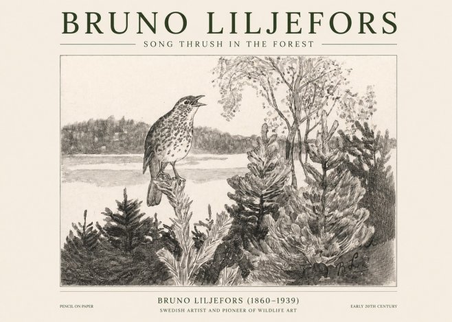 Bruno Liljefors Song Thrush in the Forest No1 - Plakat