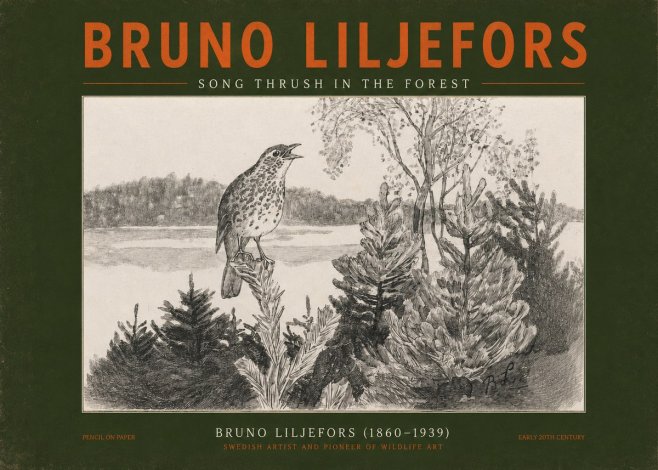 Bruno Liljefors Song Thrush in the Forest No2 - Plakat