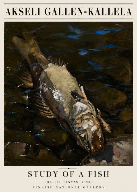 Akseli Gallen-Kallela Study of a Fish No6 - Plakat