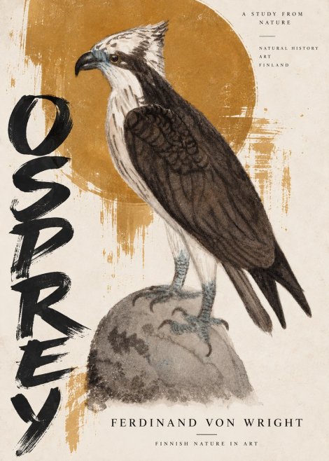 Ferdinand von Wright Osprey No5 - Plakat