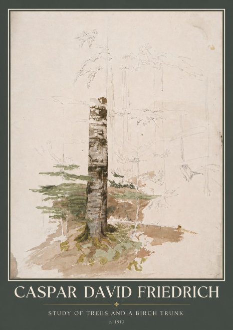 Caspar David Friedrich Study of Trees and a Birch Trunk No5 - Plakat