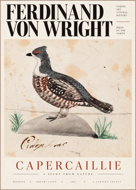 Ferdinand von Wright Grouse No6 - Plakat