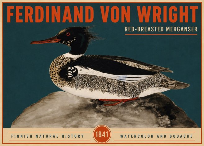 Ferdinand von Wright Red-breasted Merganser No2 - Plakat