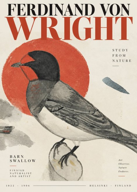 Ferdinand von Wright The Swallow No4 - Plakat