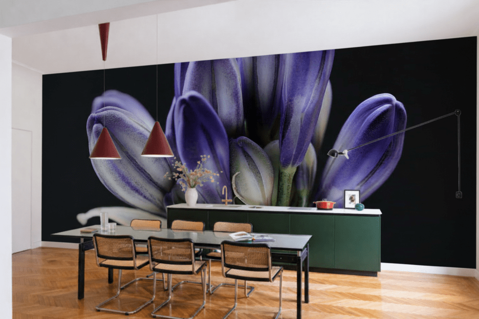 Fjord Reverberations