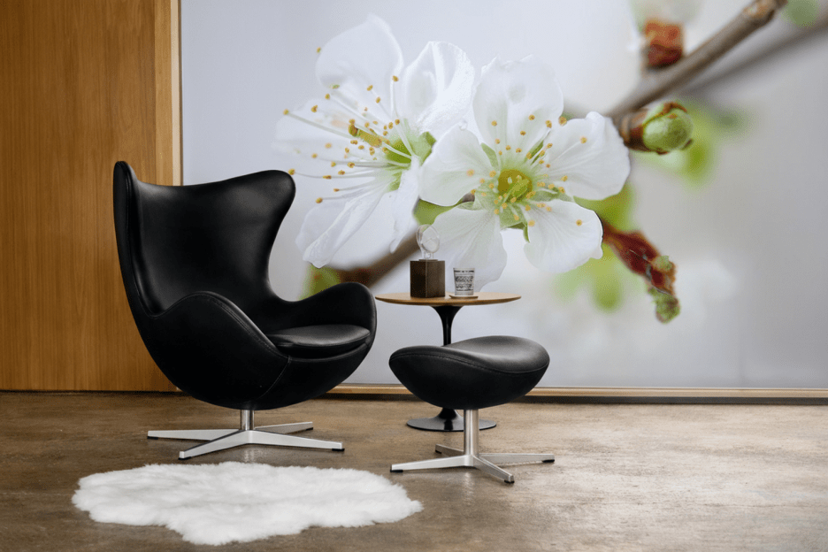 Orchid Whisper