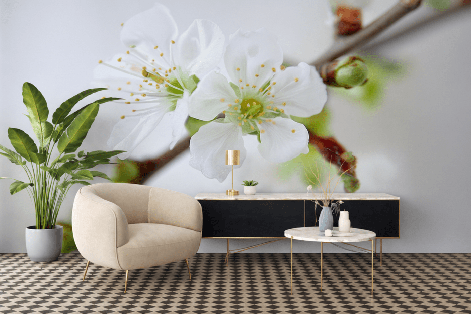 Orchid Whisper