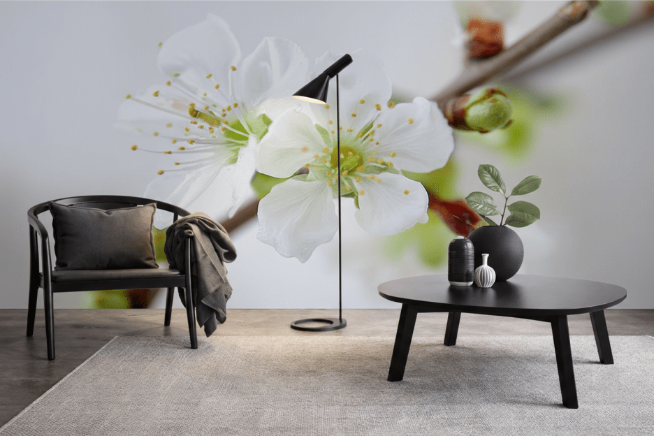 Orchid Whisper