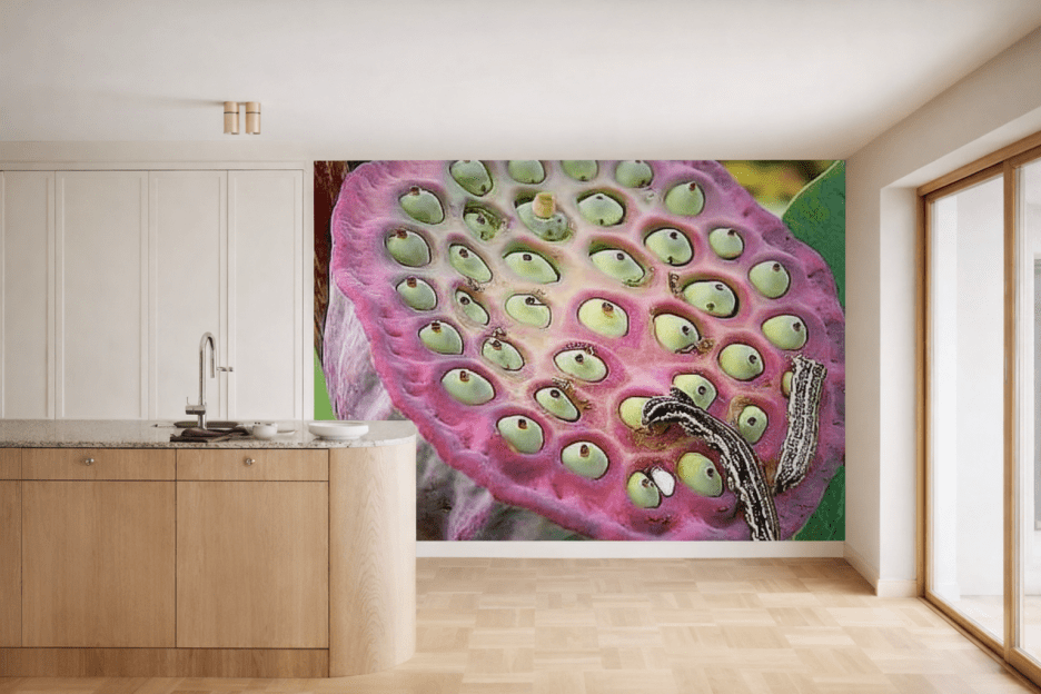 Lotus Seed Harmony