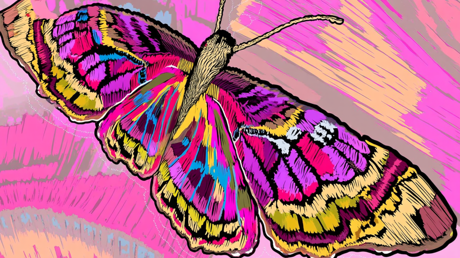 Frosted Butterfly Canvas