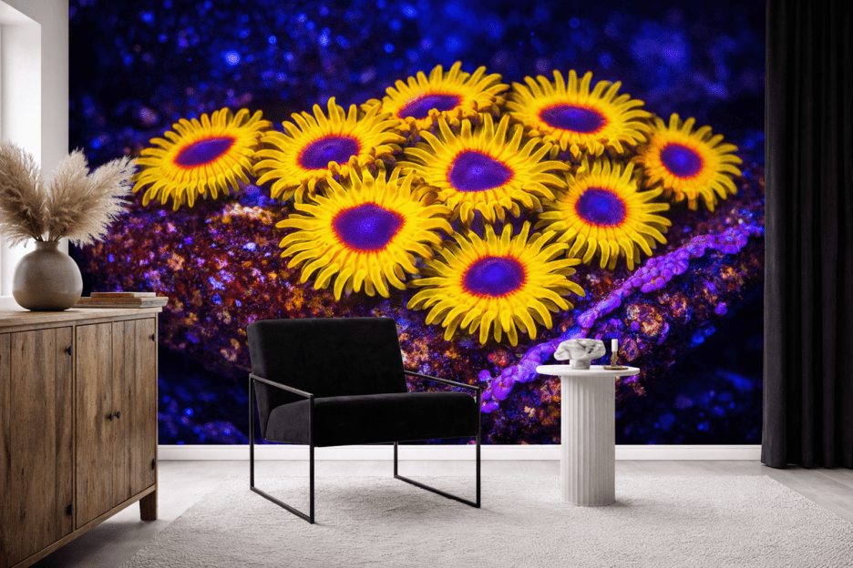 Sunfire Oasis