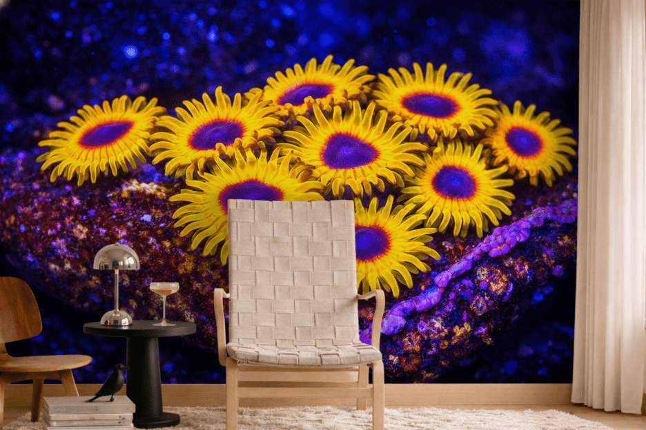 Sunfire Oasis