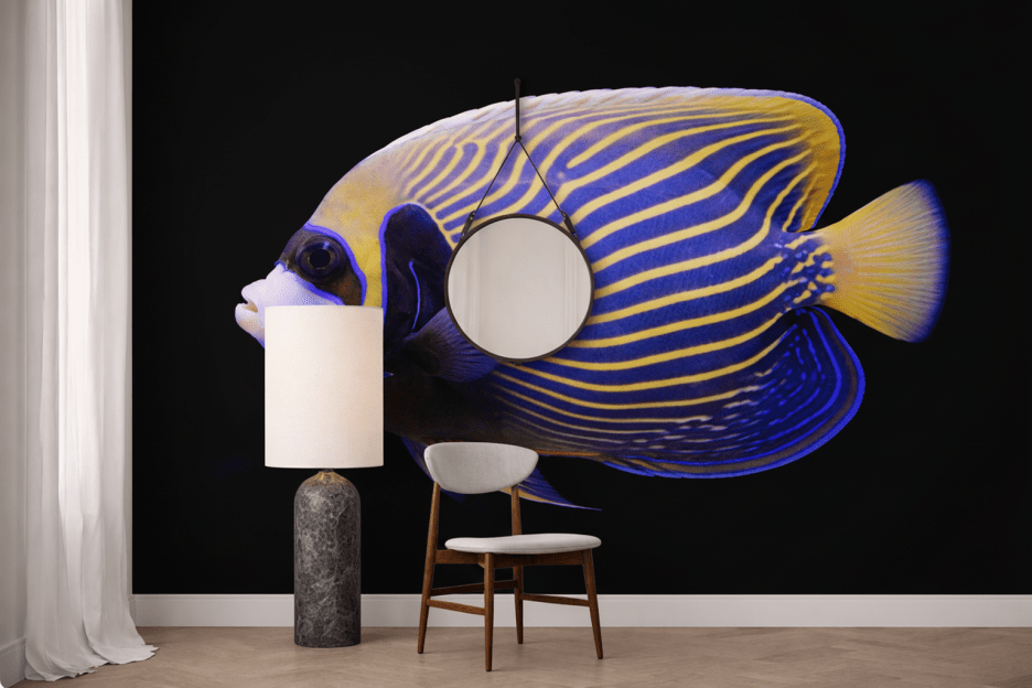 Regal Venturum