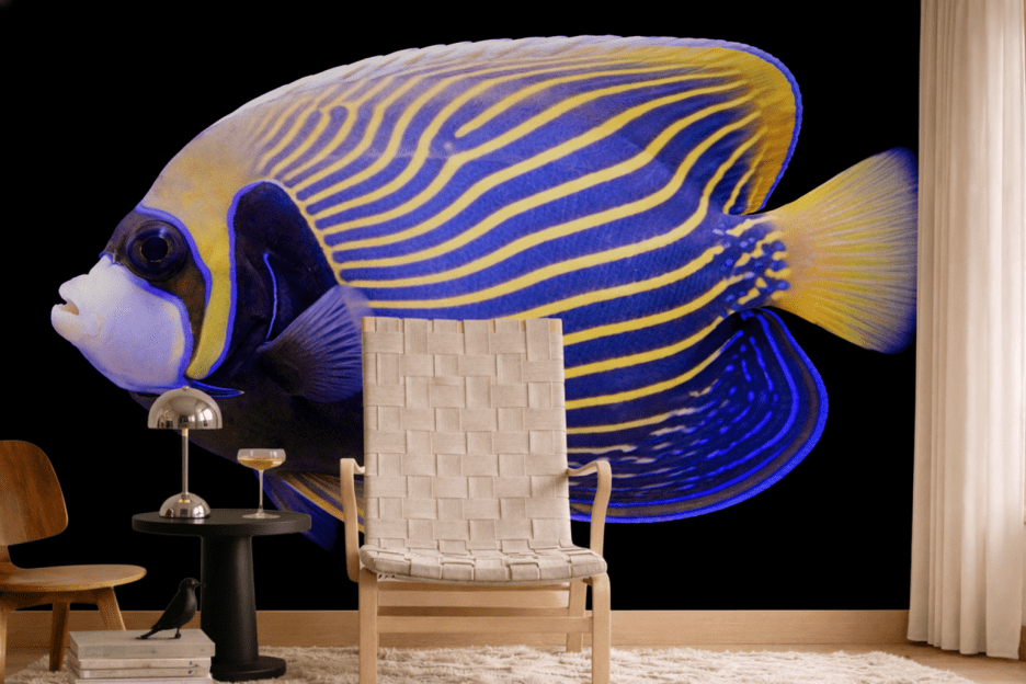 Regal Venturum