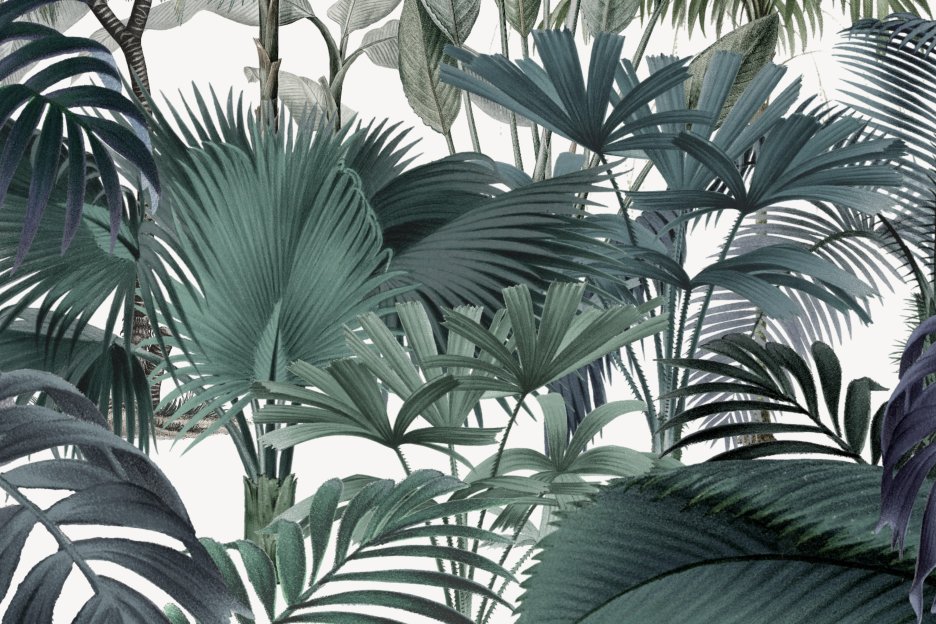 Palmscape Silhouette