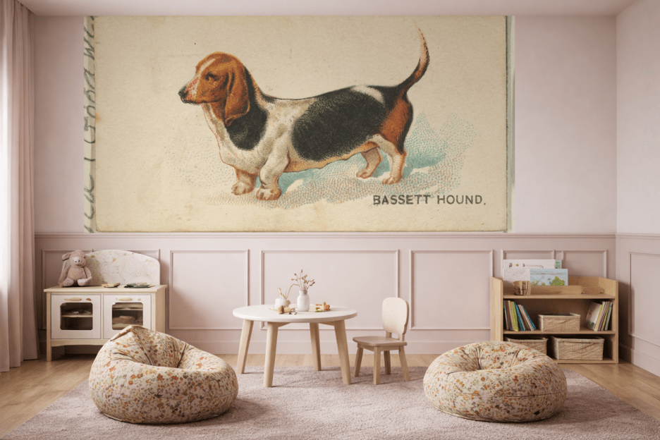 Basset Curiosity
