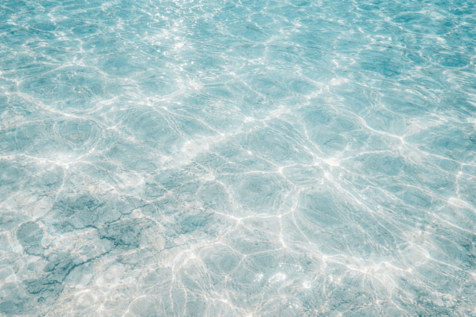 Aquatic Mosaic