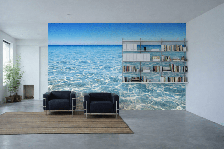 Reflective Waterscape