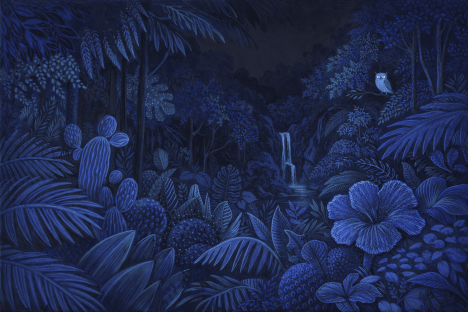 Midnight Tropics