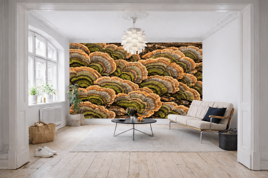 Mushroom Palette