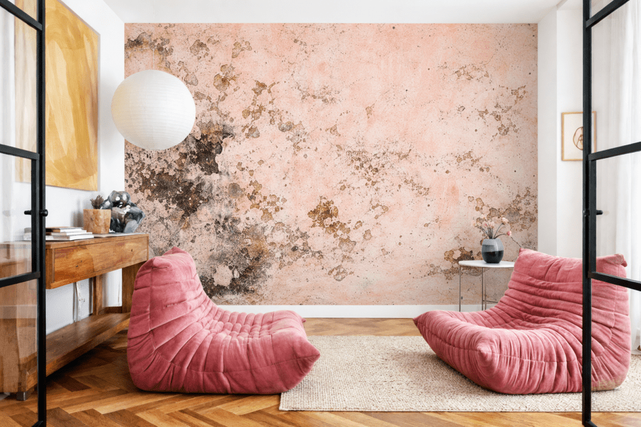 Organic Earth Palette