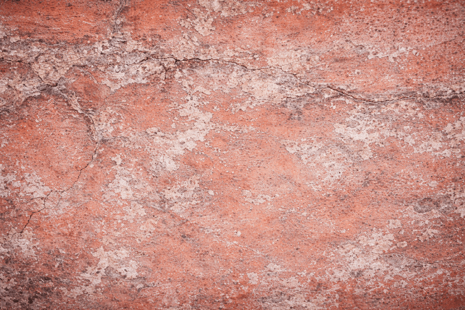 Rustic Terracotta Canvas