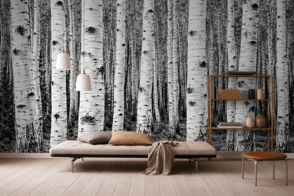 Birchwood Silence