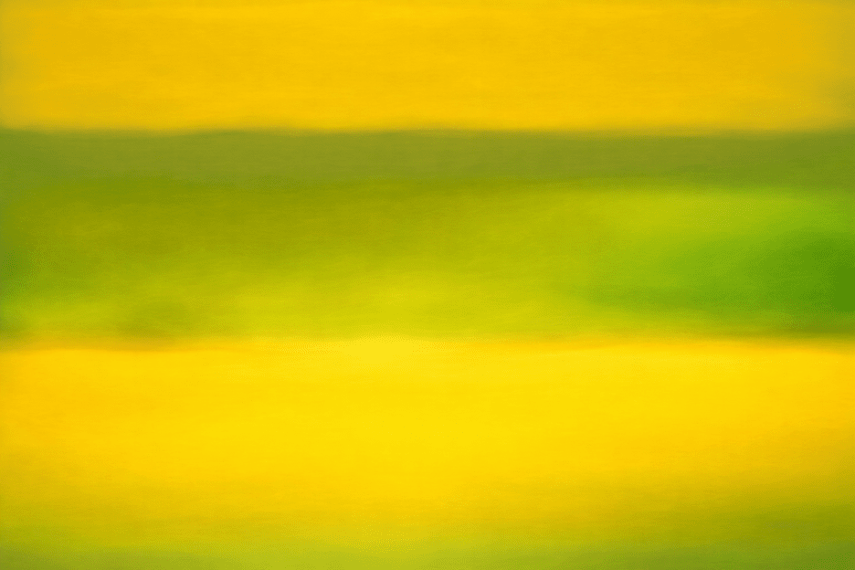 Lemon Veldt
