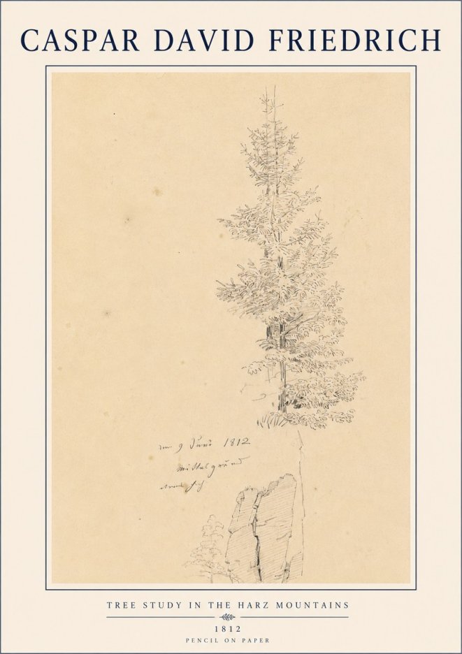 Caspar David Friedrich Tree Study in the Harz Mountains No4 - Plakat