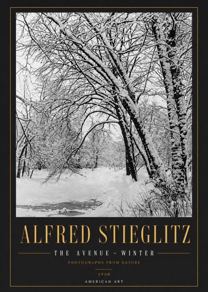 Alfred Stieglitz The Avenue – Winter No6 - Plakat